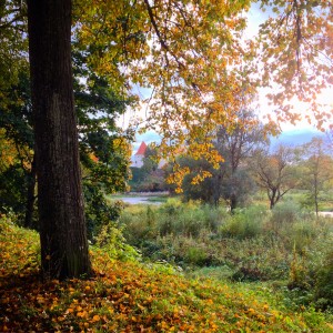 Bauska herfst